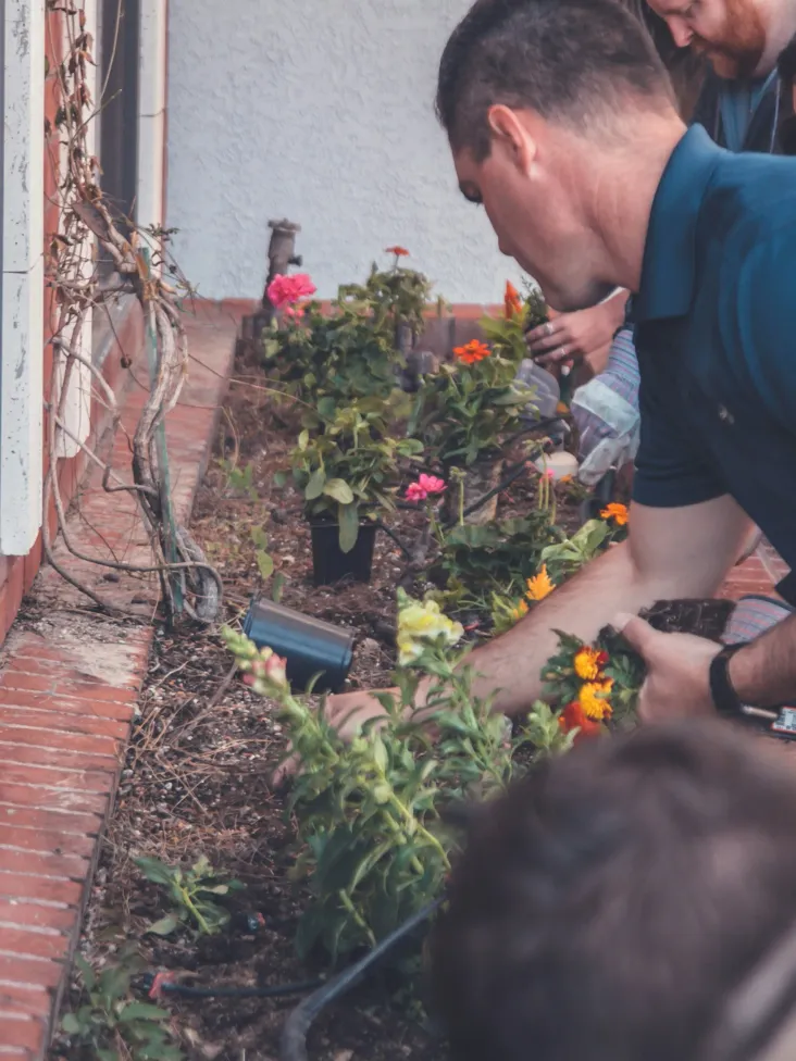 Rotary member volunteering